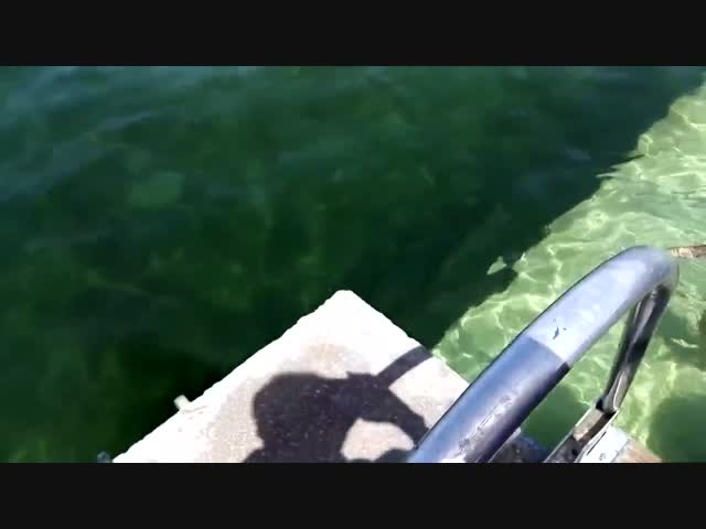 Обалдеть, круто!