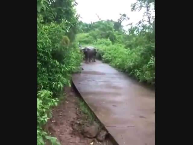 Сражение века