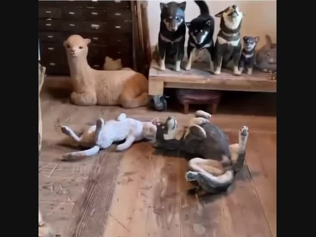 Маскировка