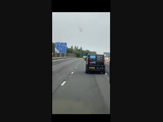 Скоростная утка