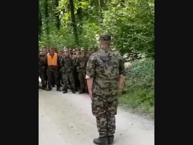 Швейцарское ополчение