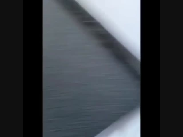 Тут как тут