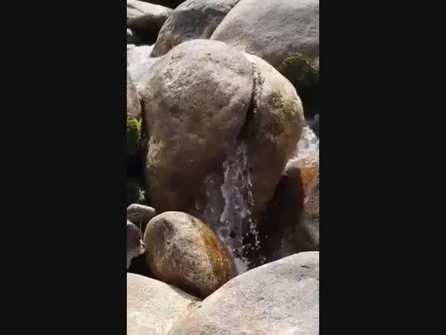 Показалось