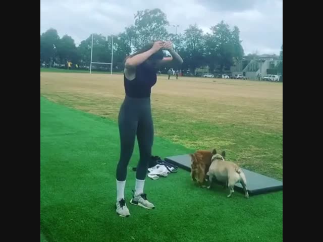 Мерзкая собачонка