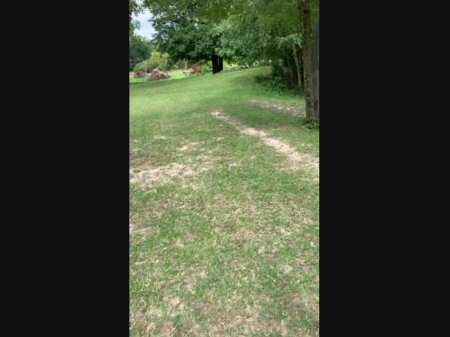 Давно не виделись