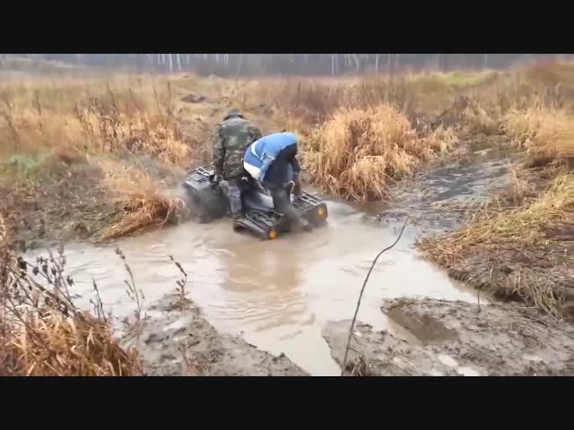 С головой ушёл в болото