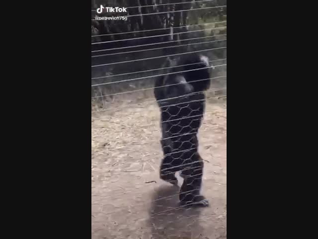 Отличная строевая подготовка