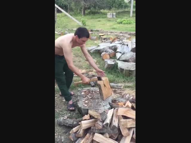 Горе-дроворуб