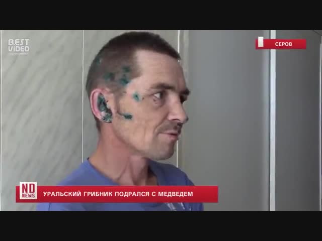 Взял пакет грибов, подрался с медведем и ушел..