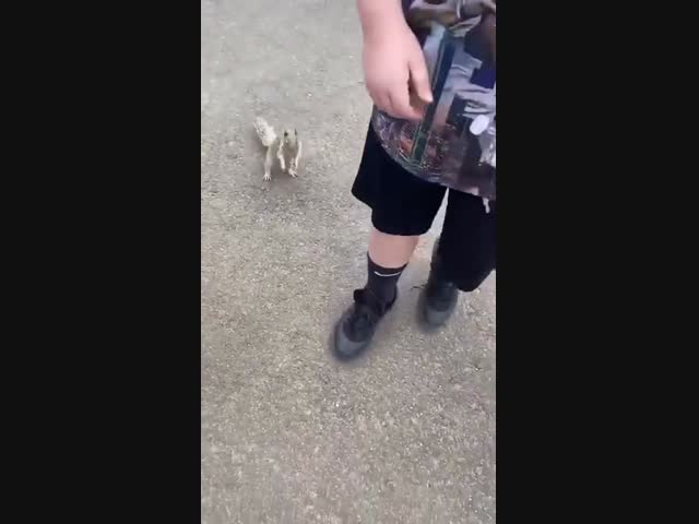 Жажда - всё!