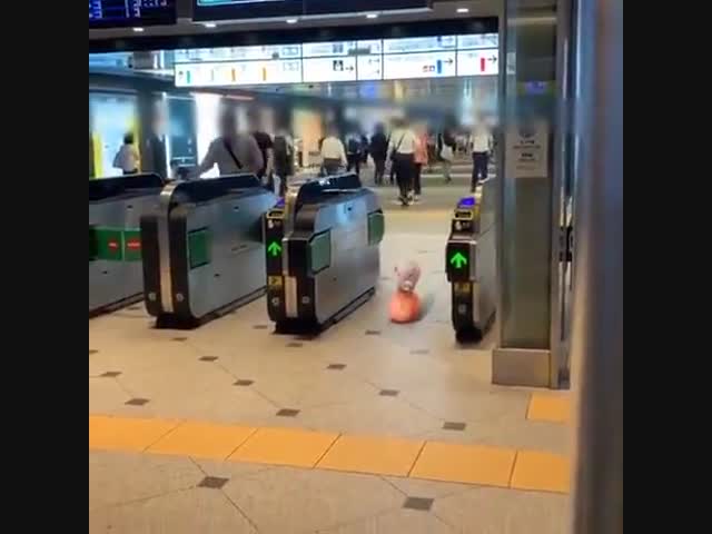 Ничего особенного: просто свинка на мячике в метро
