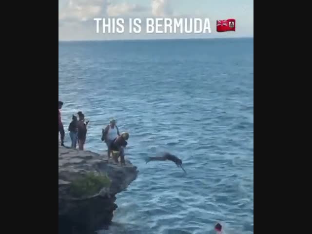 Пора учиться плавать!