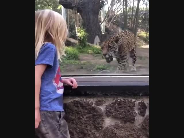 Человечины захотелось...