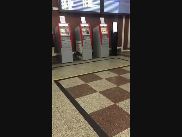 Я себя с тигром ассоциирую