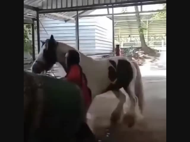 Вот это номер!