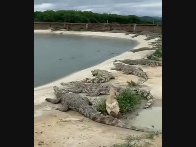 Не в этот раз