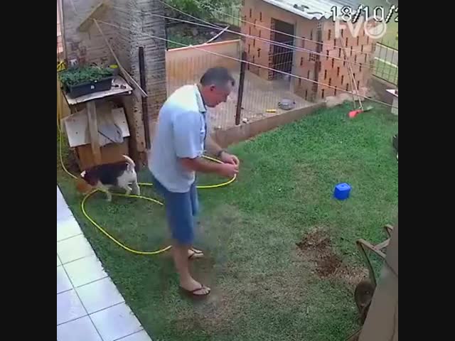 Как избавиться от кротов на участке