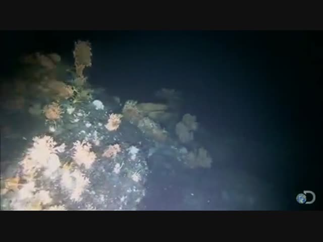 Чудовище из глубин океана
