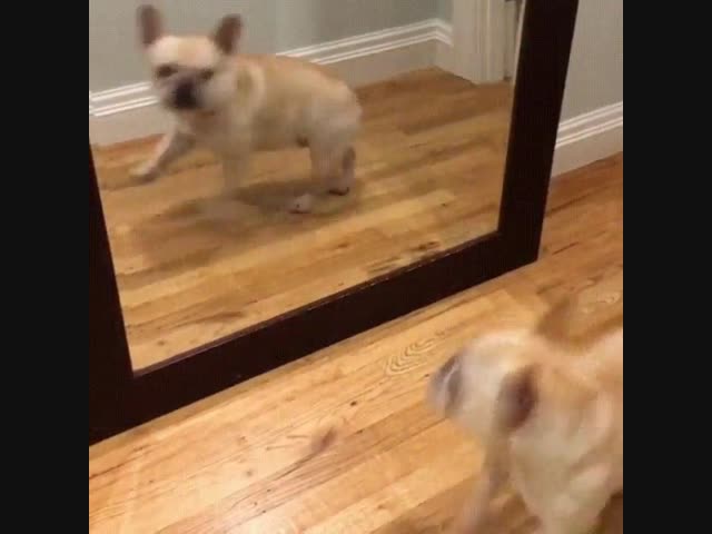 Какой я страшный!