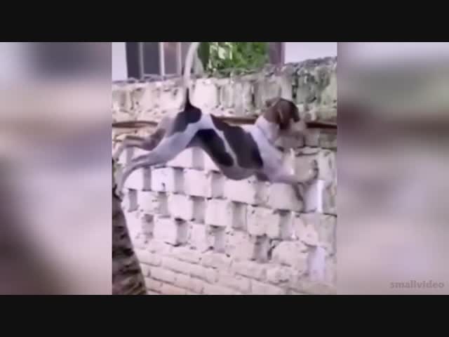 А что это вы там делаете???