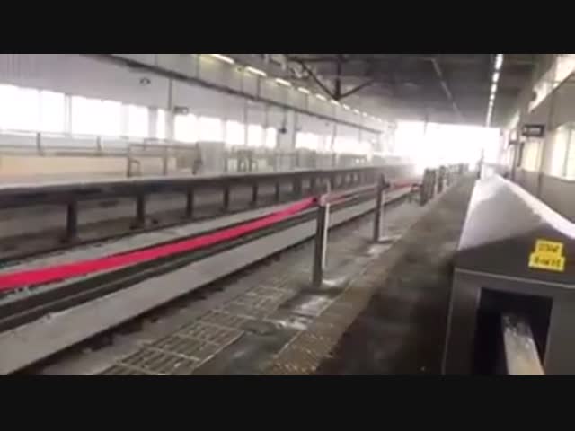 Скоростной поезд в Японии проезжает станцию