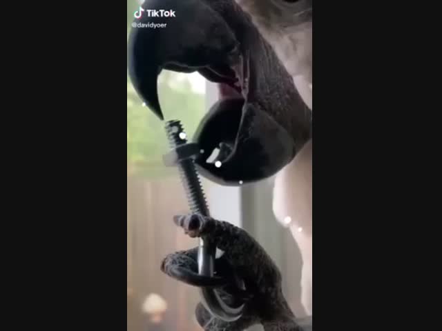 Профессионал