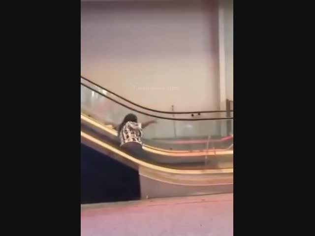 Эскалатор выиграл)