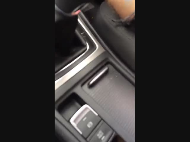 Снимаешь? Смотри чего покажу сейчас...