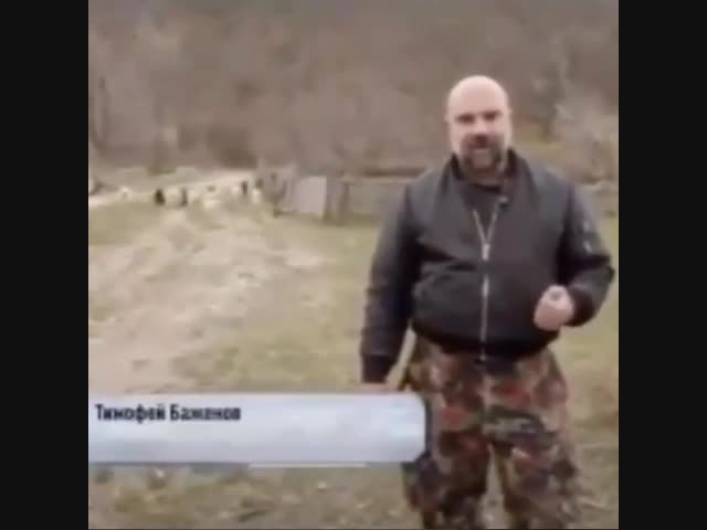 Из жизни животных.