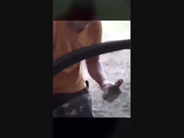 Дурацкая затея 