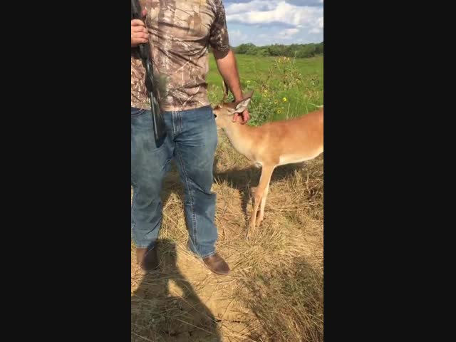 Сходили на  охоту