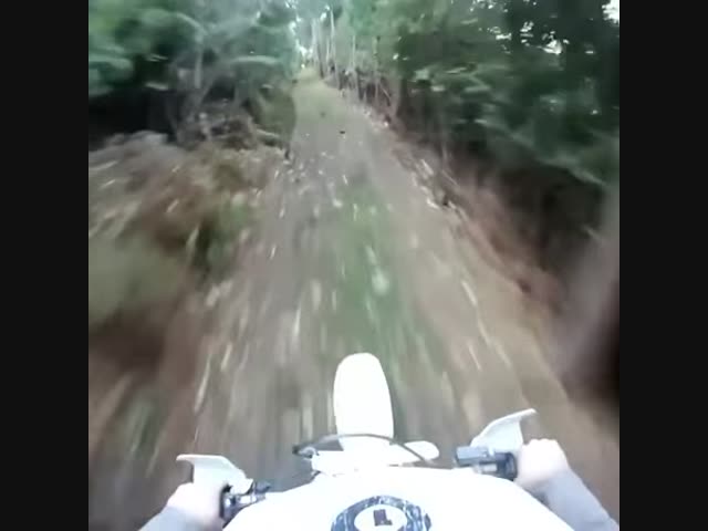 Типичный баран