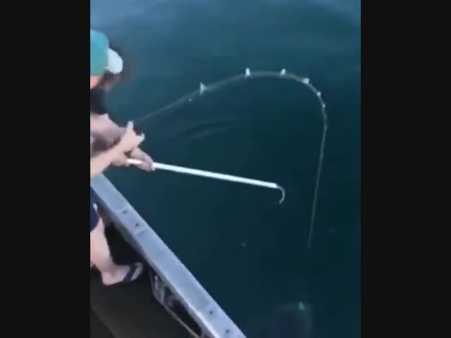 Рыбалка резко перешла в охоту