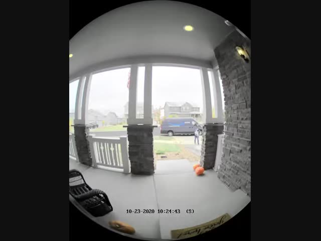 У курьера выдался ужасный рабочий день