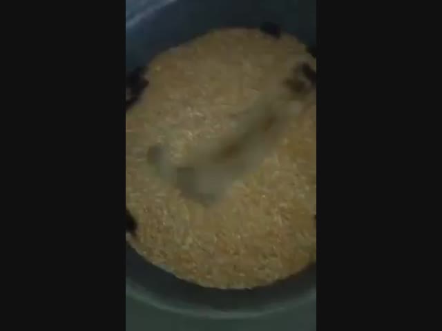 Наловила с запасом