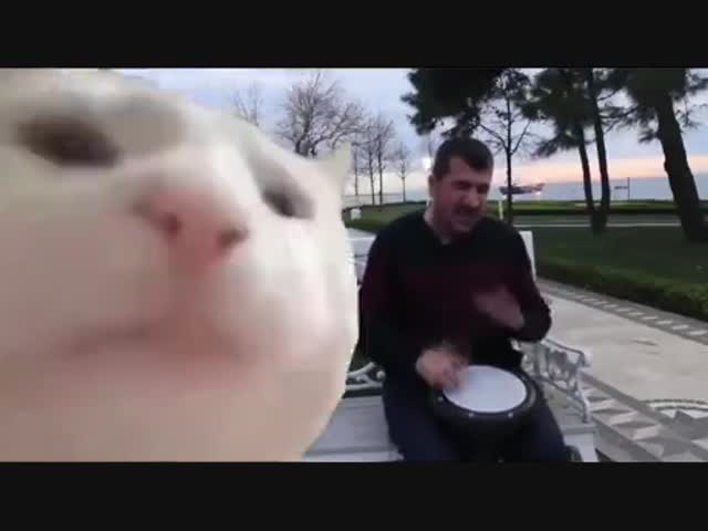 Для тех, у кого плохое настроение...