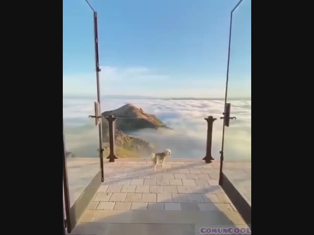 Потрогать небо руками