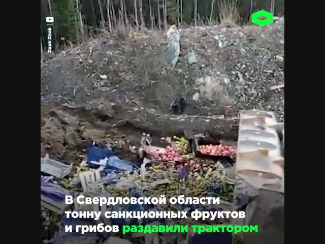 Враг повержен. В Свердловской области изъяли и уничтожили тонну грибов и фруктов