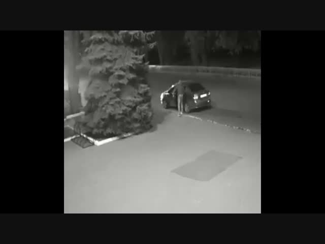 Вдруг откуда ни возьмись