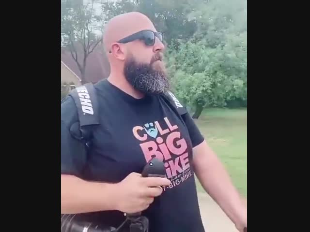 Сухопутная яхта