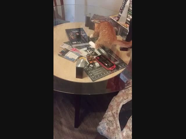 Охота через стекло