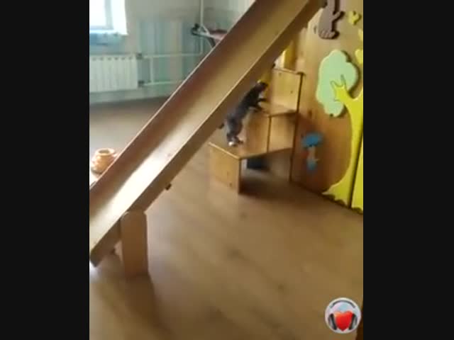 Развлеки сам себя