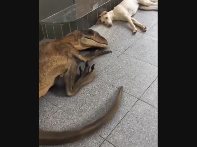 В альтернативной вселенной