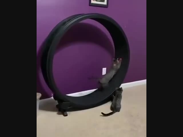 Добивайтесь своего!