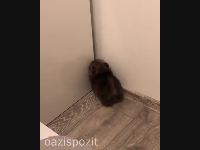 Ты там не пролезешь!