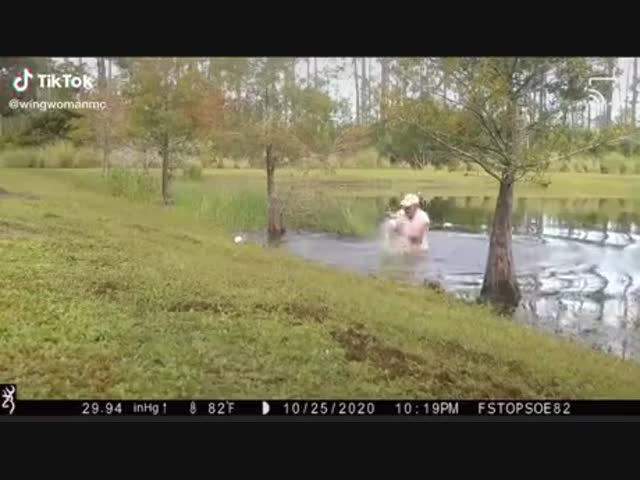 Мужчина спасает свою собаку из пасти аллигатора