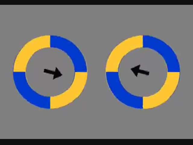 В это невозможно поверить, но круги не движутся