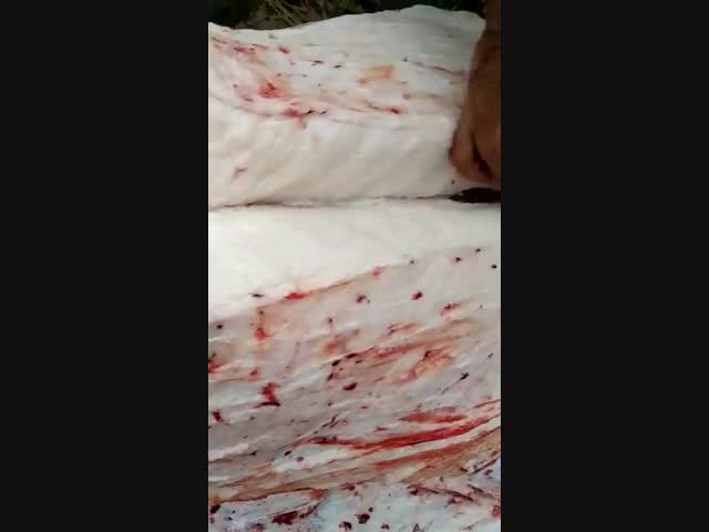 Наел жира...