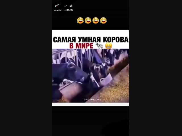 Вот это да...