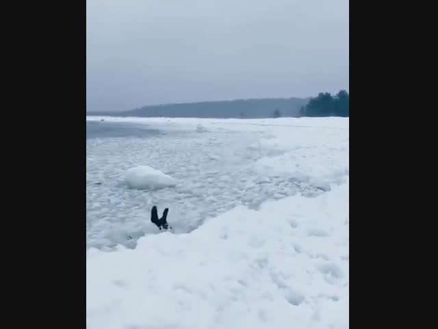  Неудачный заплыв в Сосновом Бору